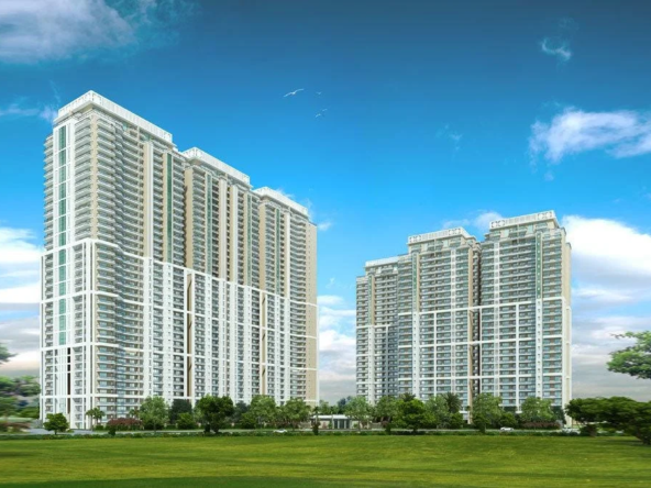 dlf arbour