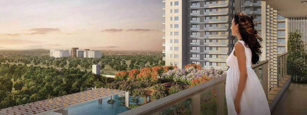 dlf luxury floors
