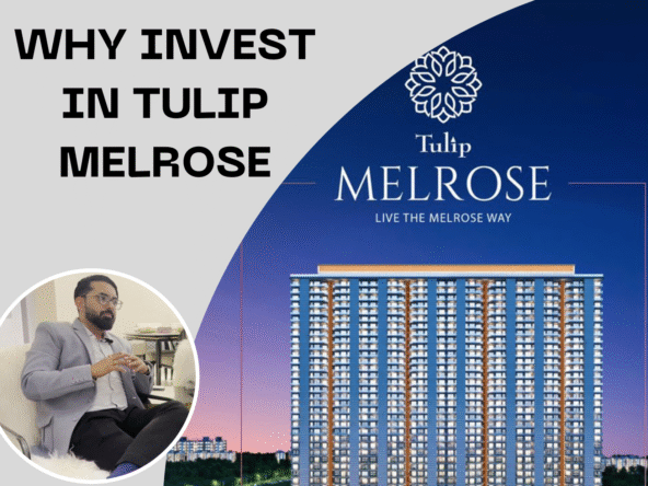 tulip melrose all details