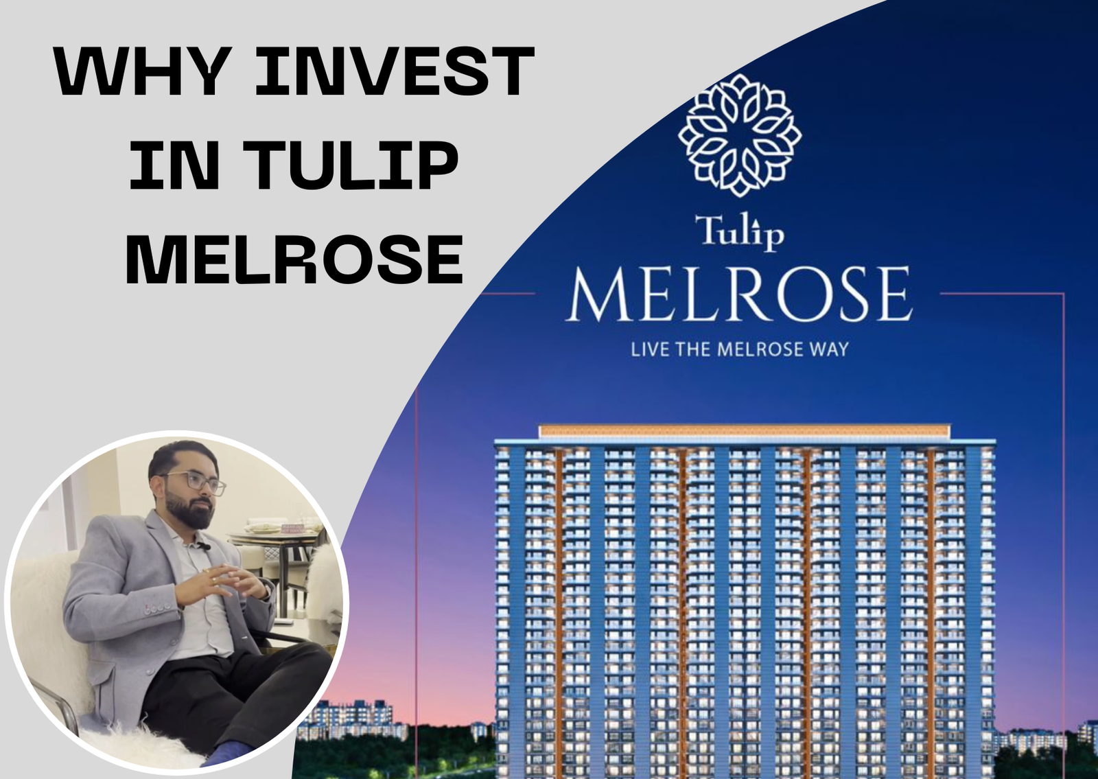 tulip melrose all details