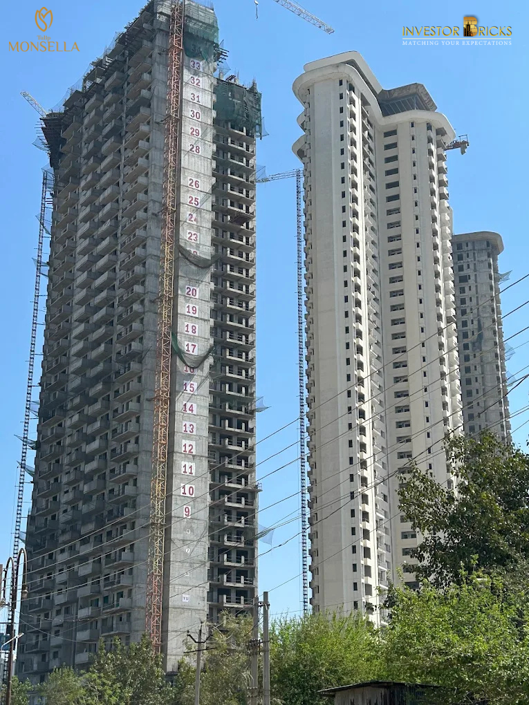 tulip monsella Gurgaon